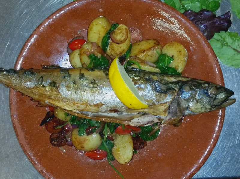 Grilled mackerel and potatoes